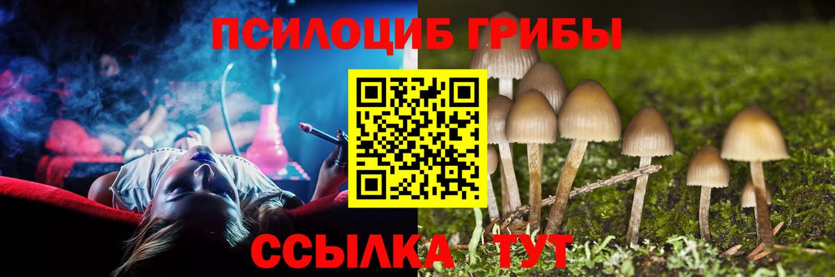 Нижневартовск  Галлюциногенные грибы GOLDEN TEACHER  что такое наркотик  Вход с VPN  Галлюциногенные грибы Psilocybine cubensis 